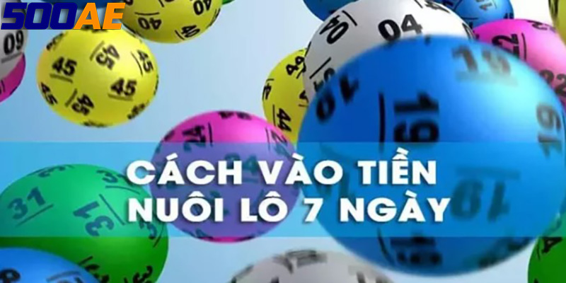 Casino Online 500AE - Chơi Bầu Cua Trực Tiếp Dễ Dàng Thắng Lợi